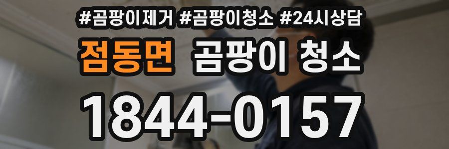 점동면 곰팡이 청소