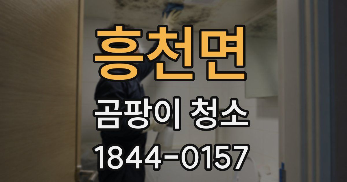 흥천면 곰팡이 청소