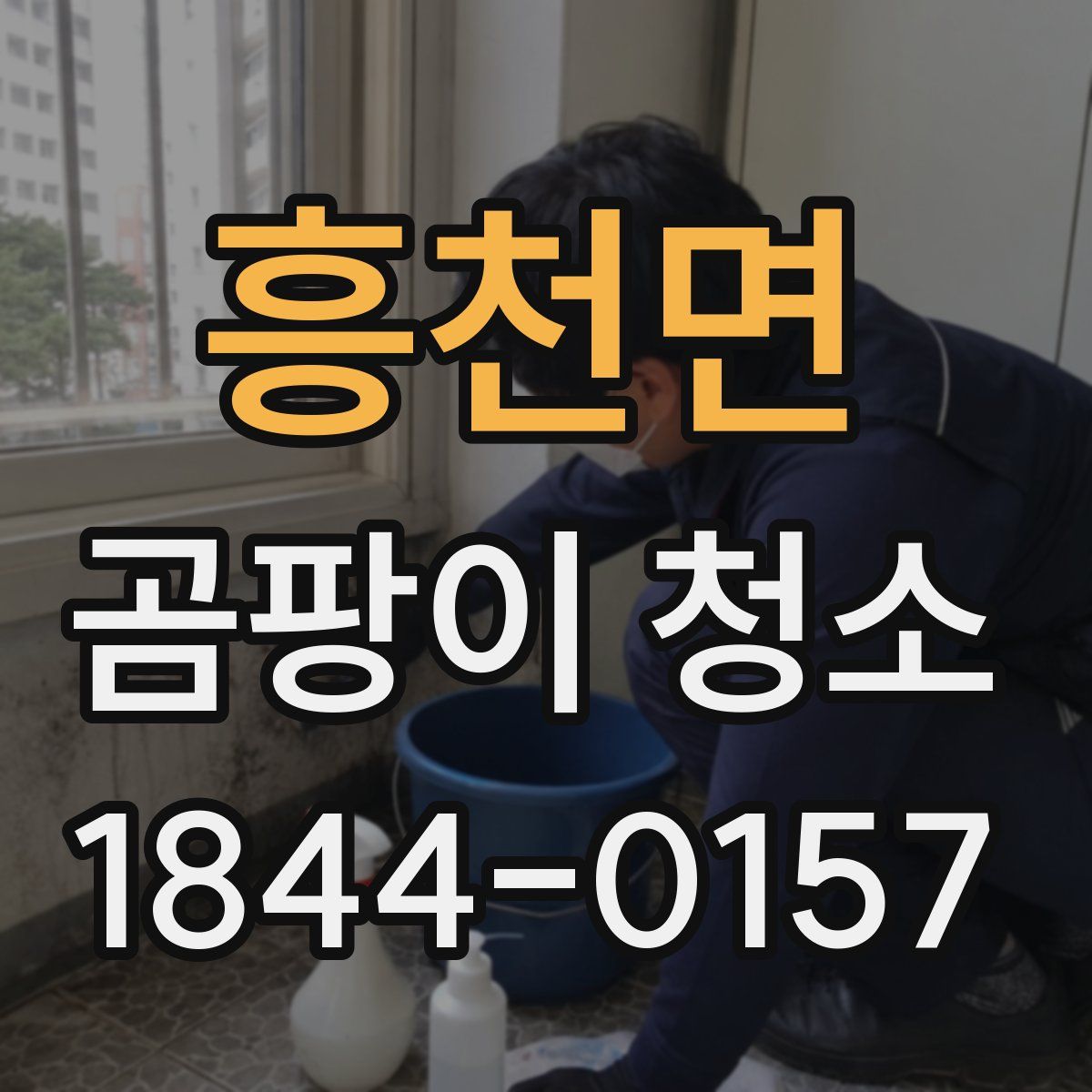 흥천면 곰팡이 청소