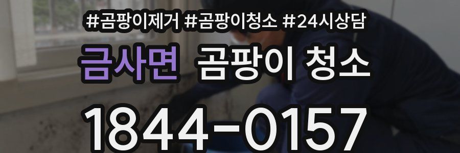 금사면 곰팡이 청소