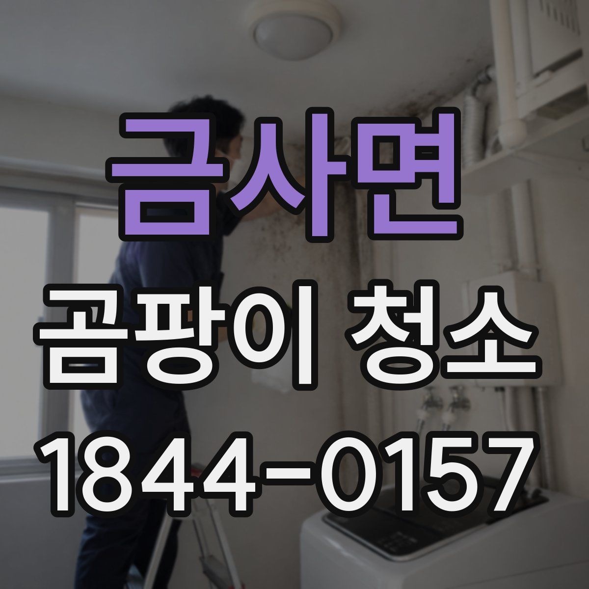 금사면 곰팡이 청소