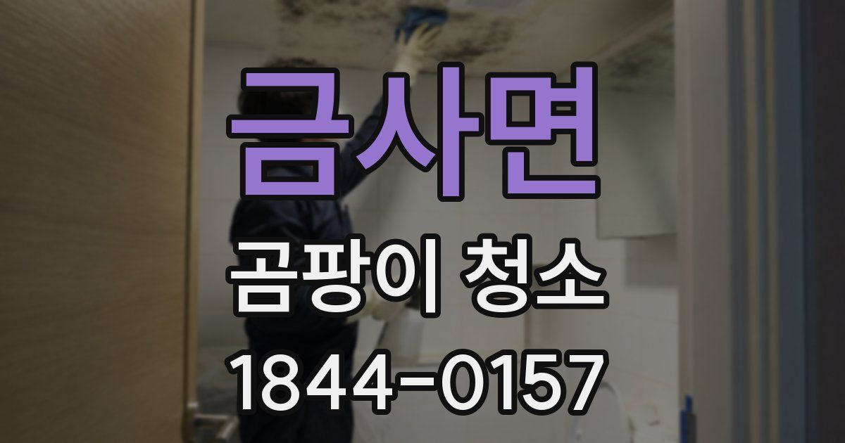 금사면 곰팡이 청소