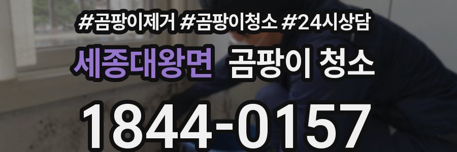 세종대왕면 곰팡이 청소