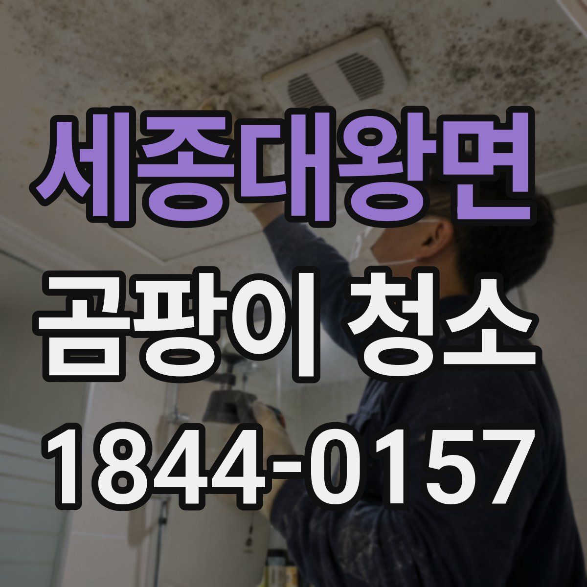 세종대왕면 곰팡이 청소