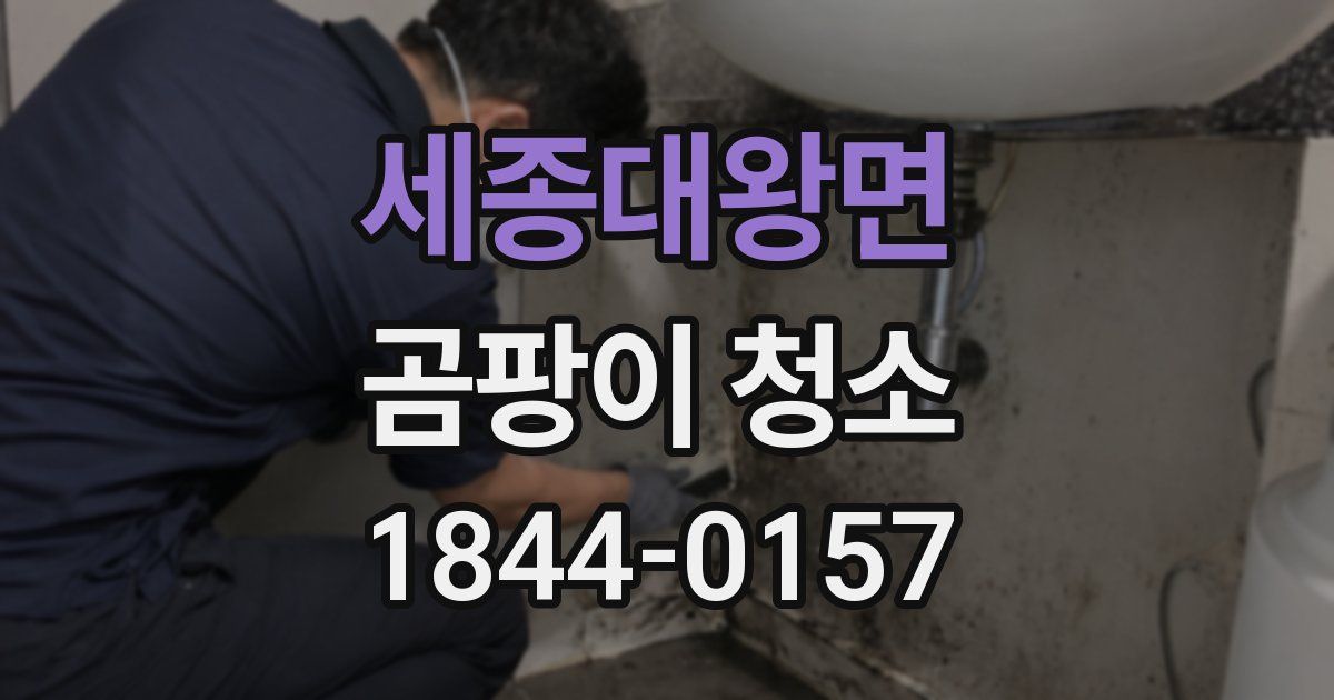 세종대왕면 곰팡이 청소