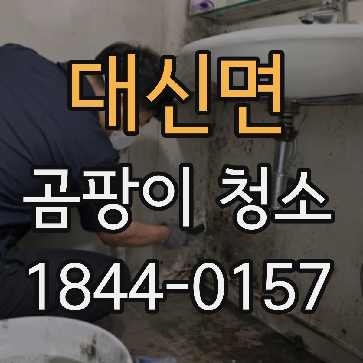 대신면 곰팡이 청소 냄새가 먼저 느껴질 때 확인할 실내 항목