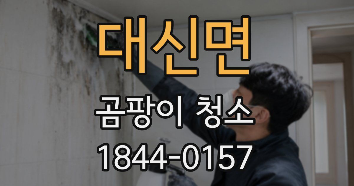 대신면 곰팡이 청소