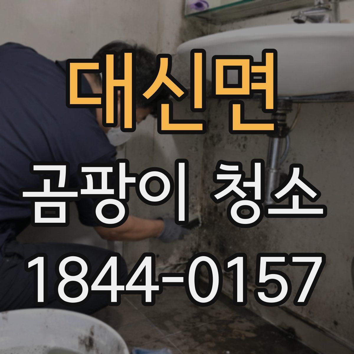 대신면 곰팡이 청소