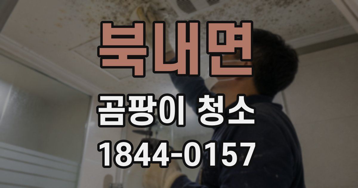 북내면 곰팡이 청소