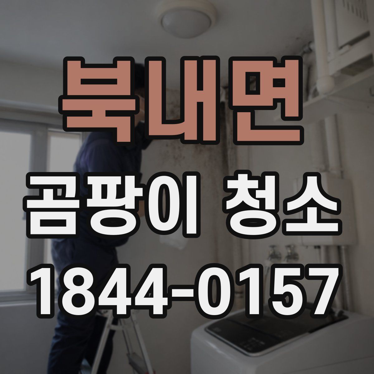 북내면 곰팡이 청소