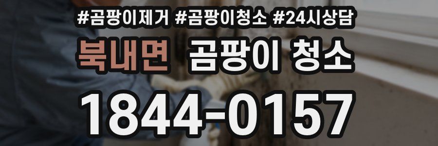 북내면 곰팡이 청소