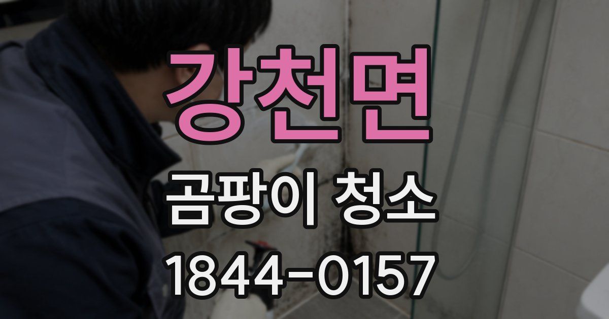 강천면 곰팡이 청소