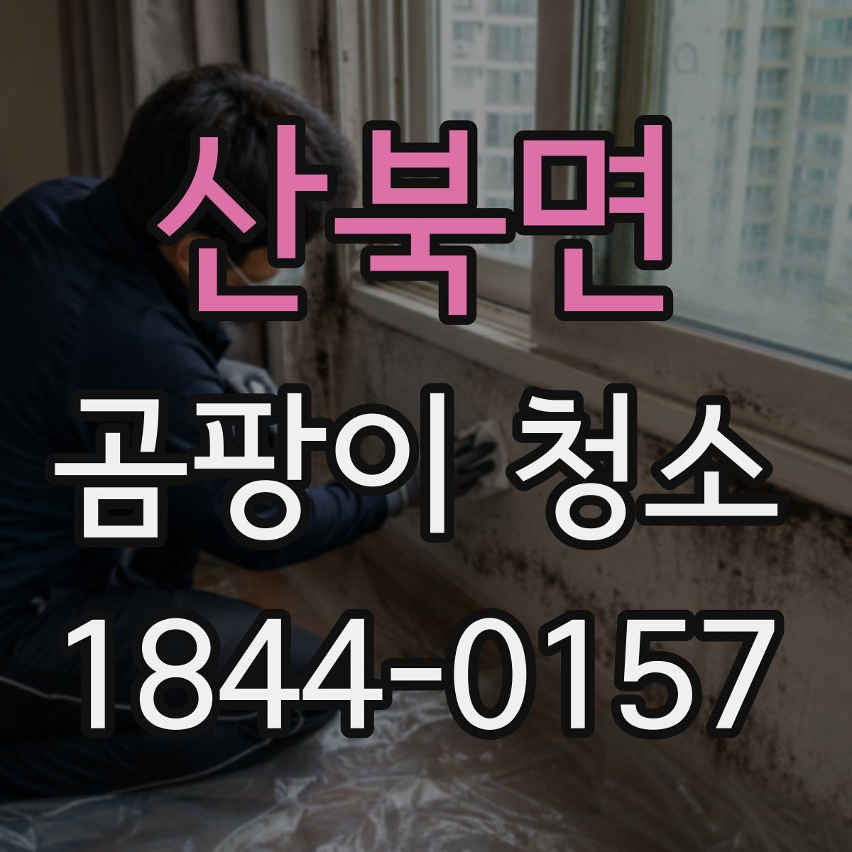 산북면 곰팡이 청소