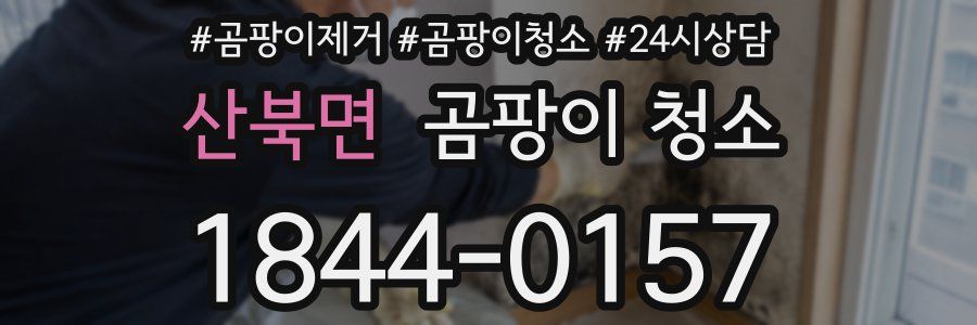 산북면 곰팡이 청소