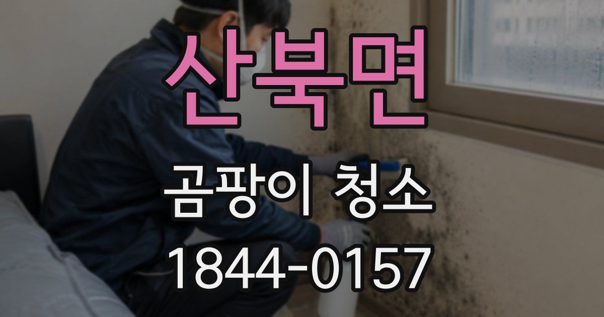 산북면 곰팡이 청소