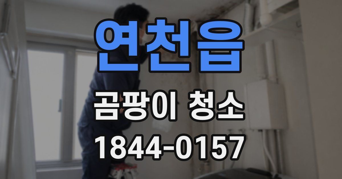 연천읍 곰팡이 청소