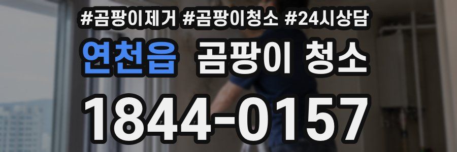 연천읍 곰팡이 청소