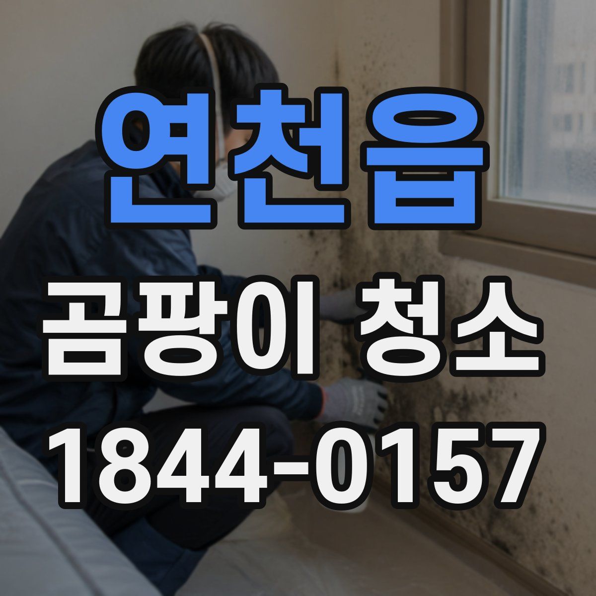 연천읍 곰팡이 청소