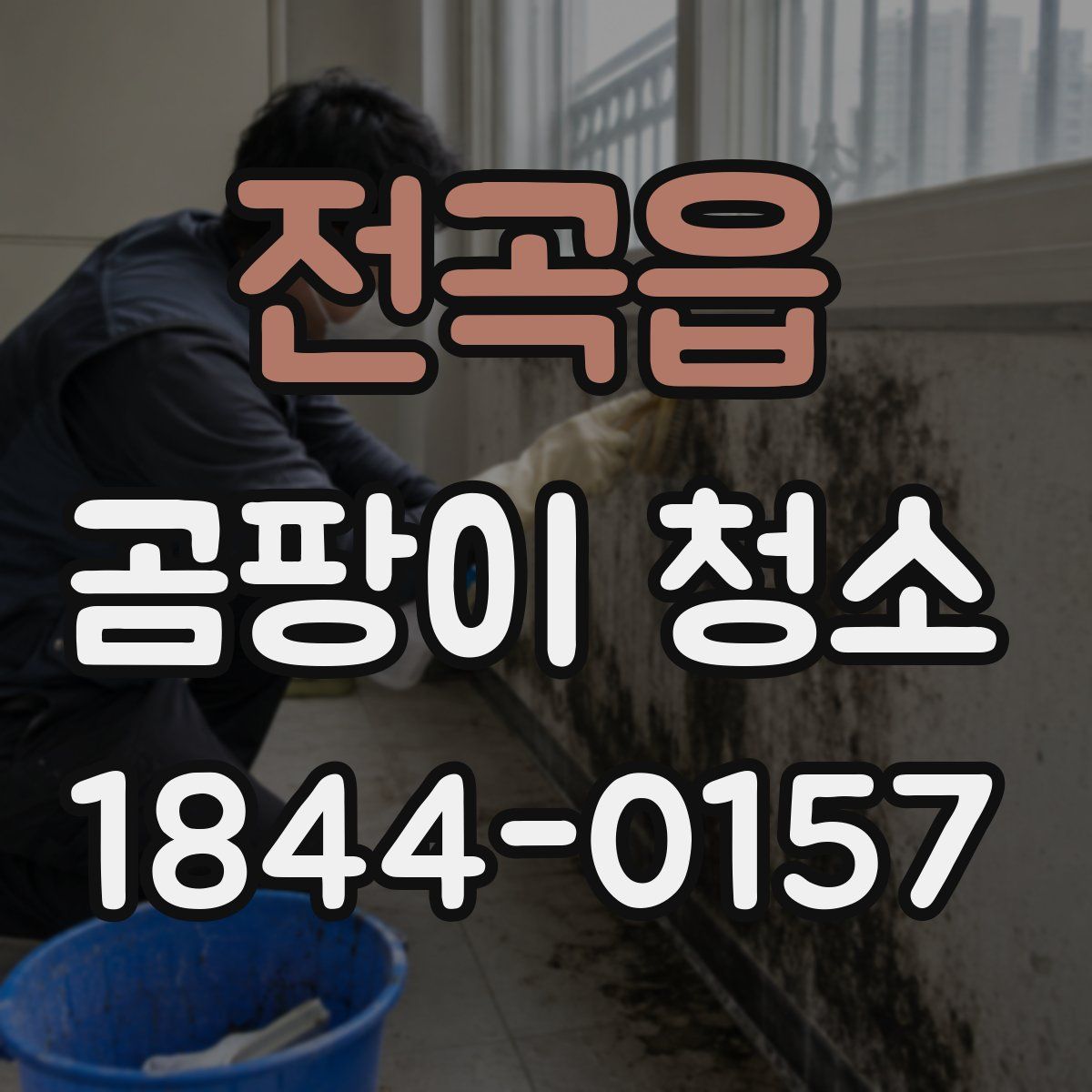 전곡읍 곰팡이 청소