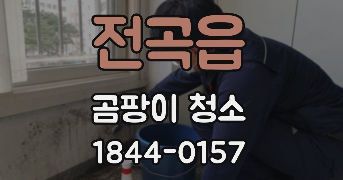 전곡읍 곰팡이 청소