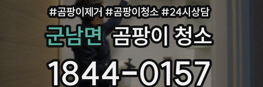 군남면 곰팡이 청소
