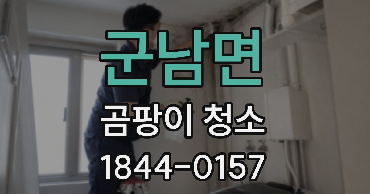 군남면 곰팡이 청소