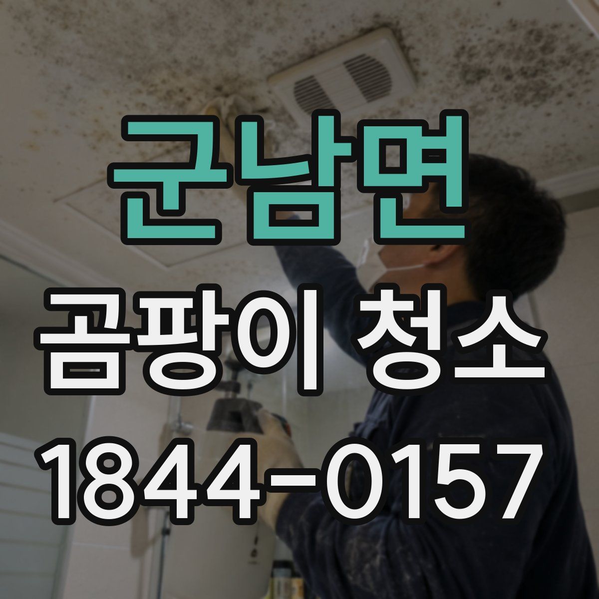군남면 곰팡이 청소