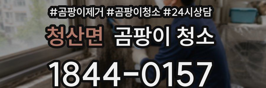 청산면 곰팡이 청소