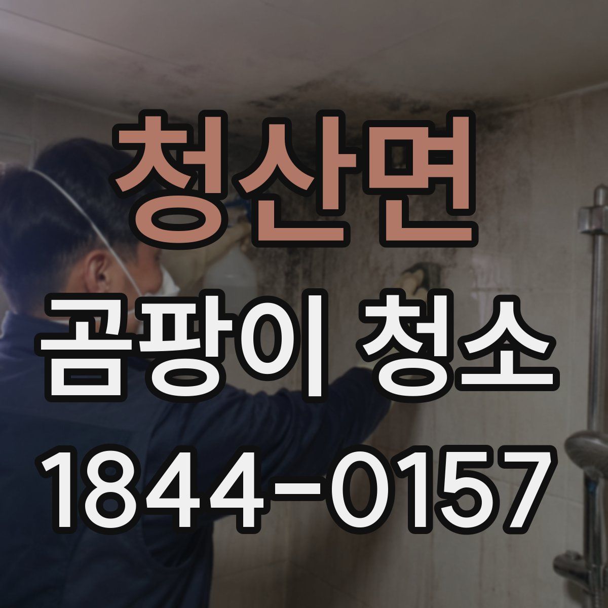 청산면 곰팡이 청소