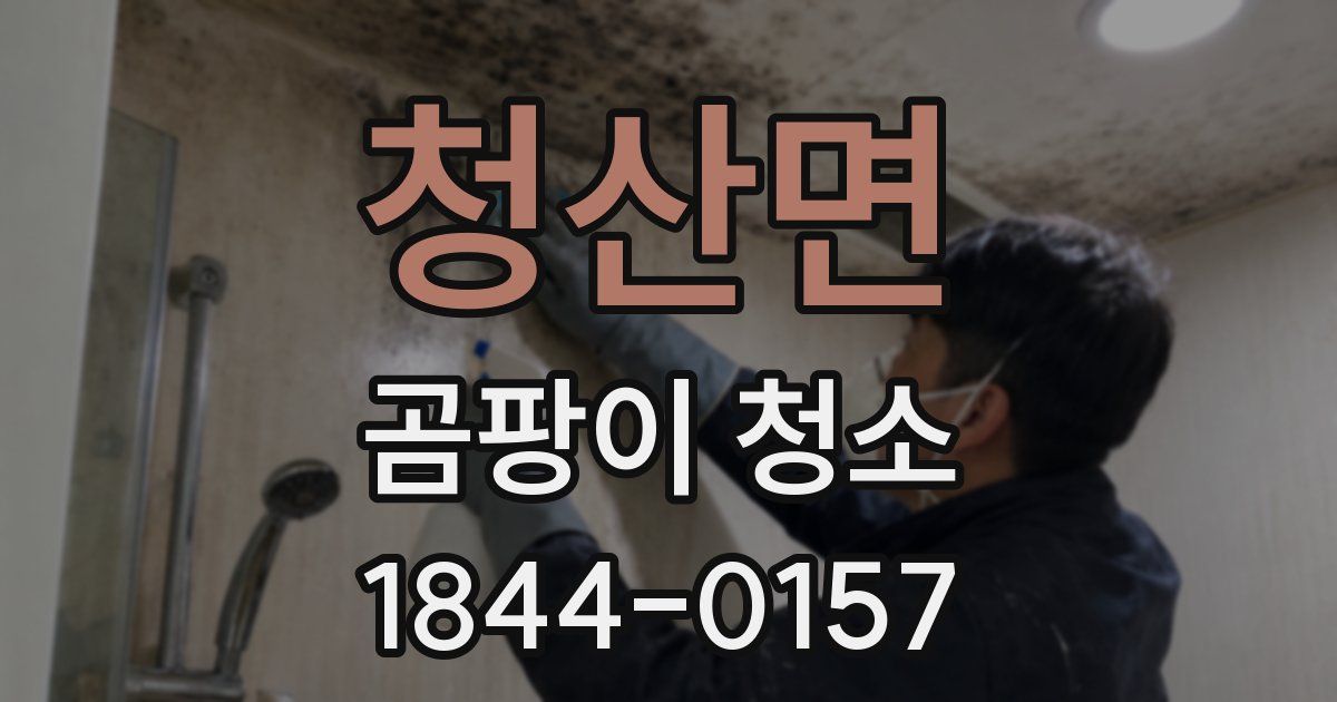 청산면 곰팡이 청소