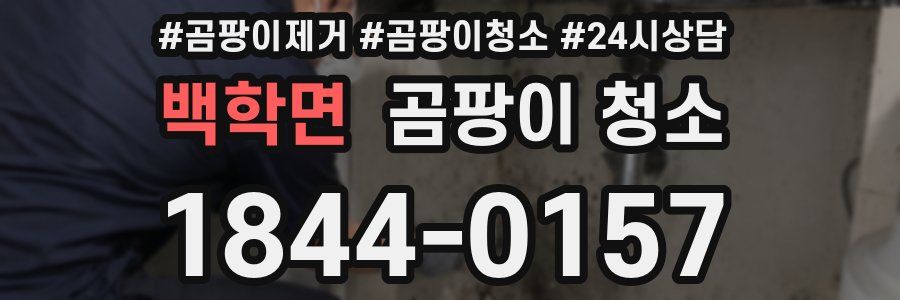 백학면 곰팡이 청소
