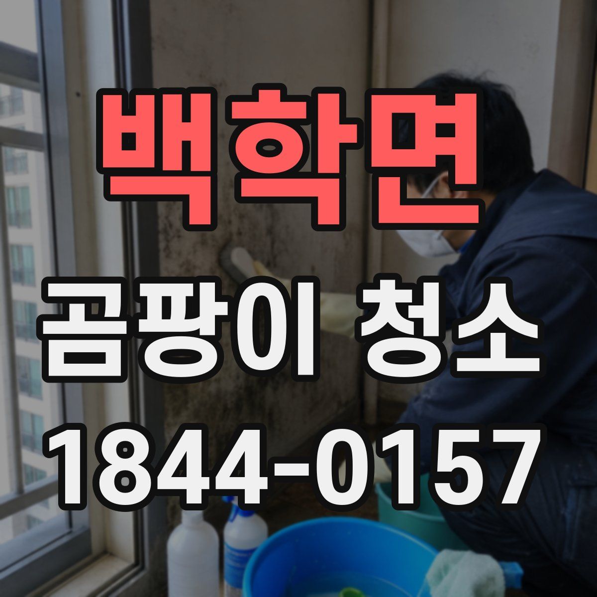 백학면 곰팡이 청소