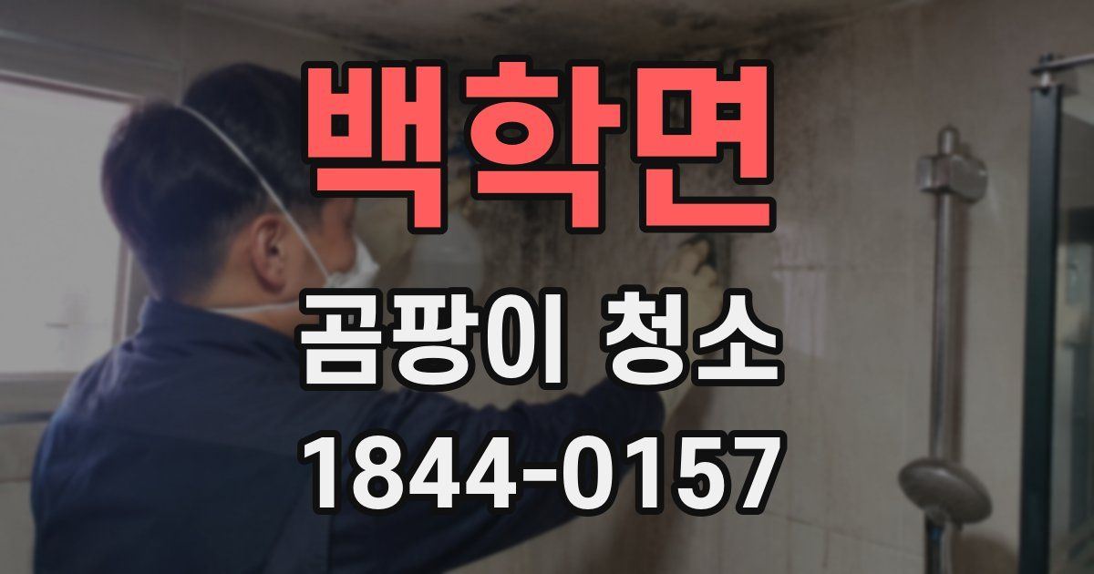 백학면 곰팡이 청소