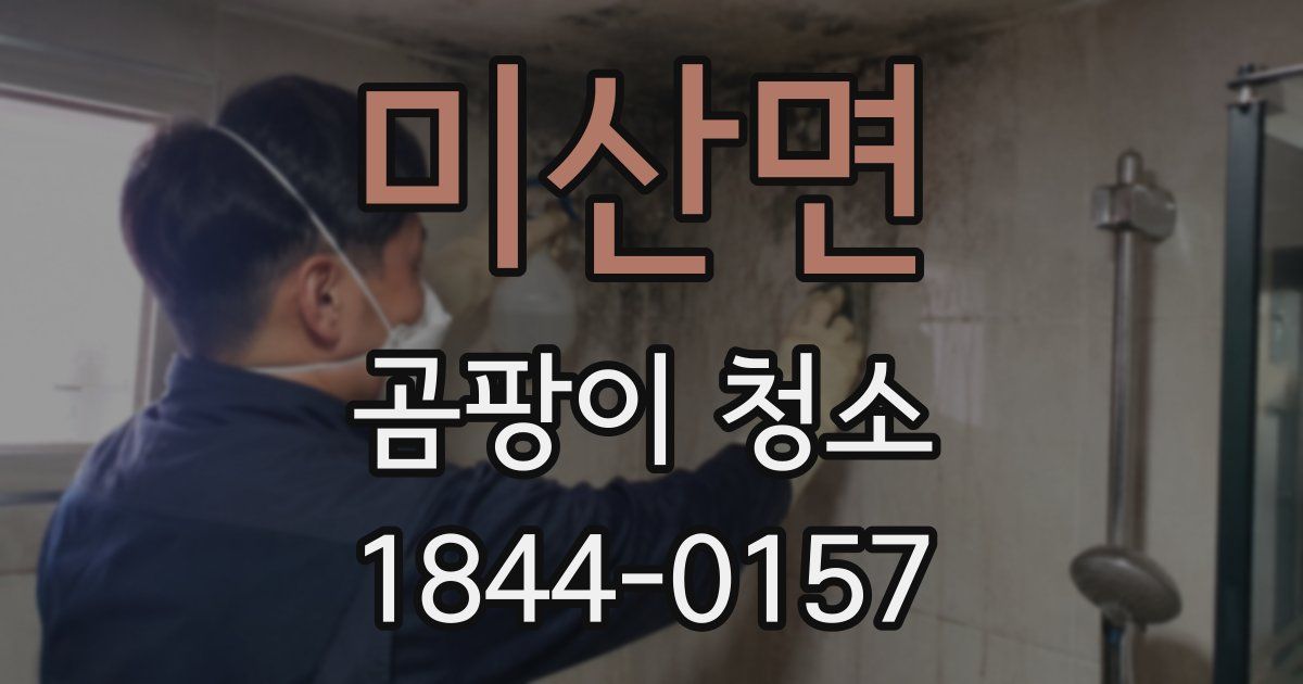 미산면 곰팡이 청소