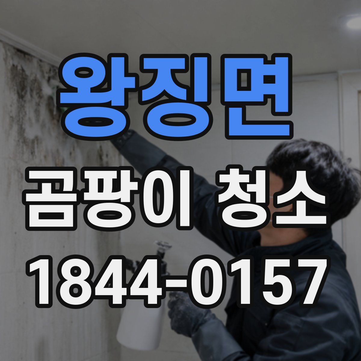 왕징면 곰팡이 청소