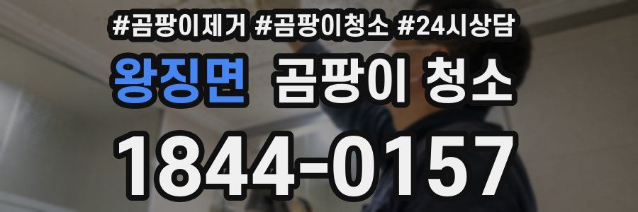 왕징면 곰팡이 청소