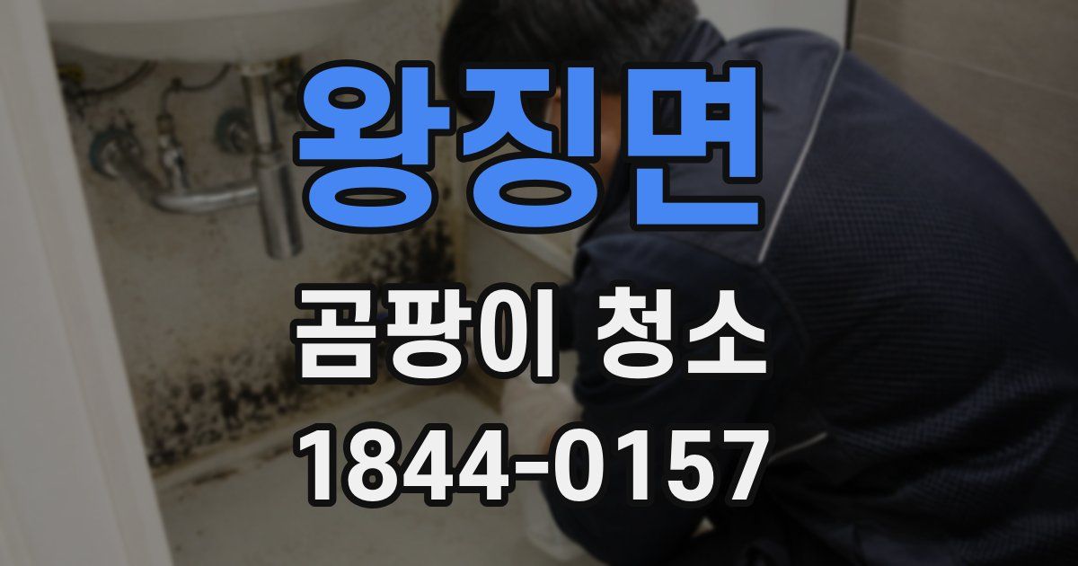 왕징면 곰팡이 청소