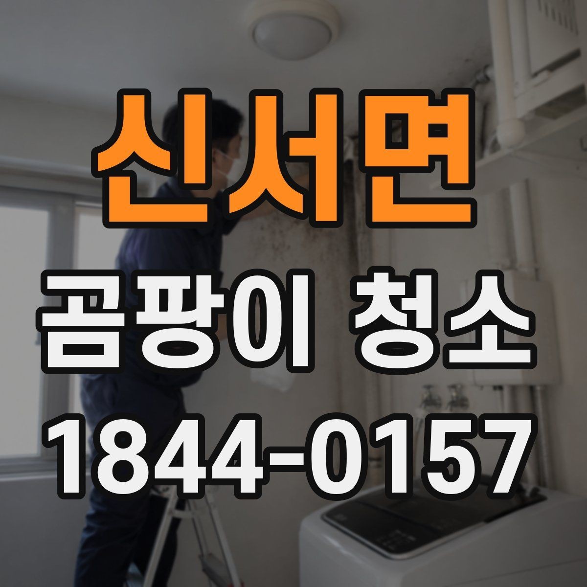 신서면 곰팡이 청소 입주 전 점검 포인트해야 할 곰팡이 흔적