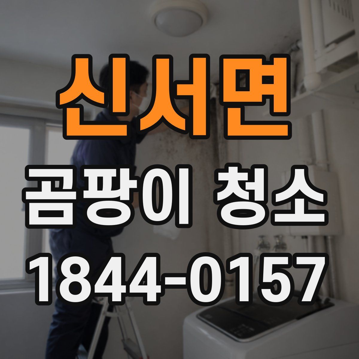 신서면 곰팡이 청소