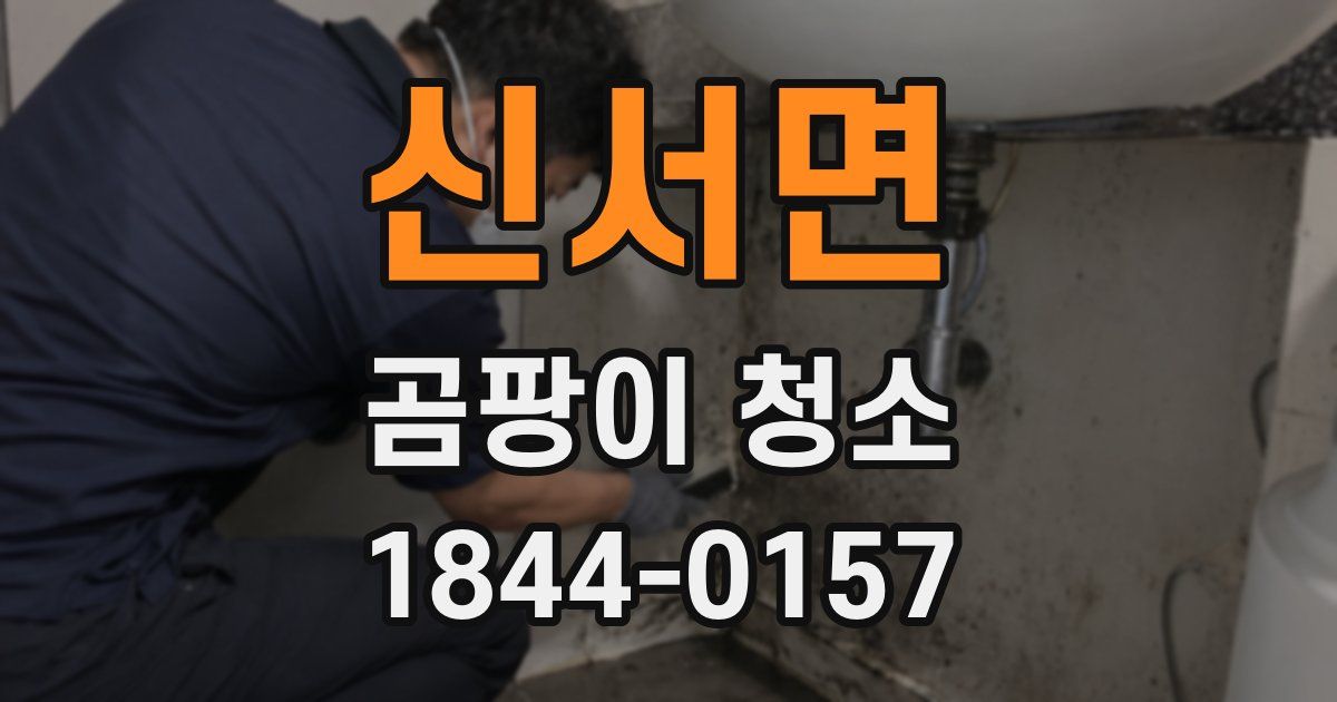 신서면 곰팡이 청소