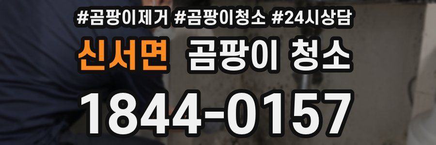 신서면 곰팡이 청소