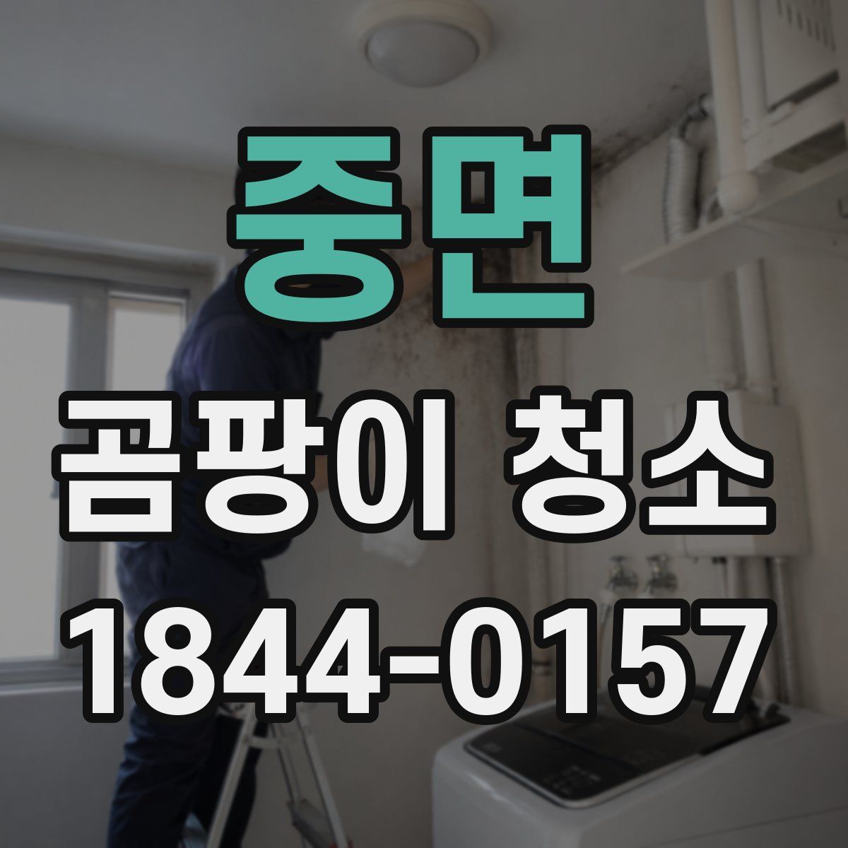 중면 곰팡이 청소