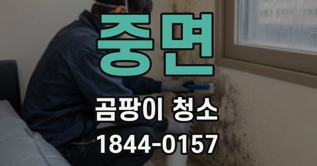 중면 곰팡이 청소