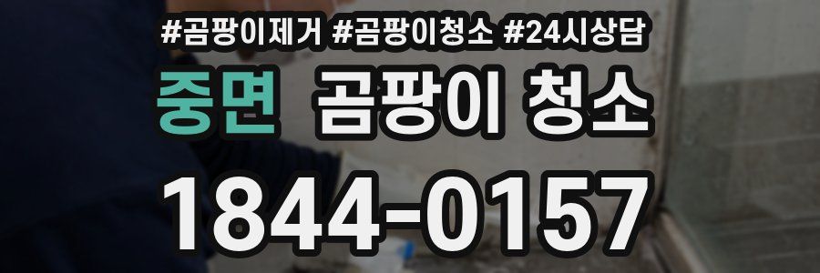 중면 곰팡이 청소