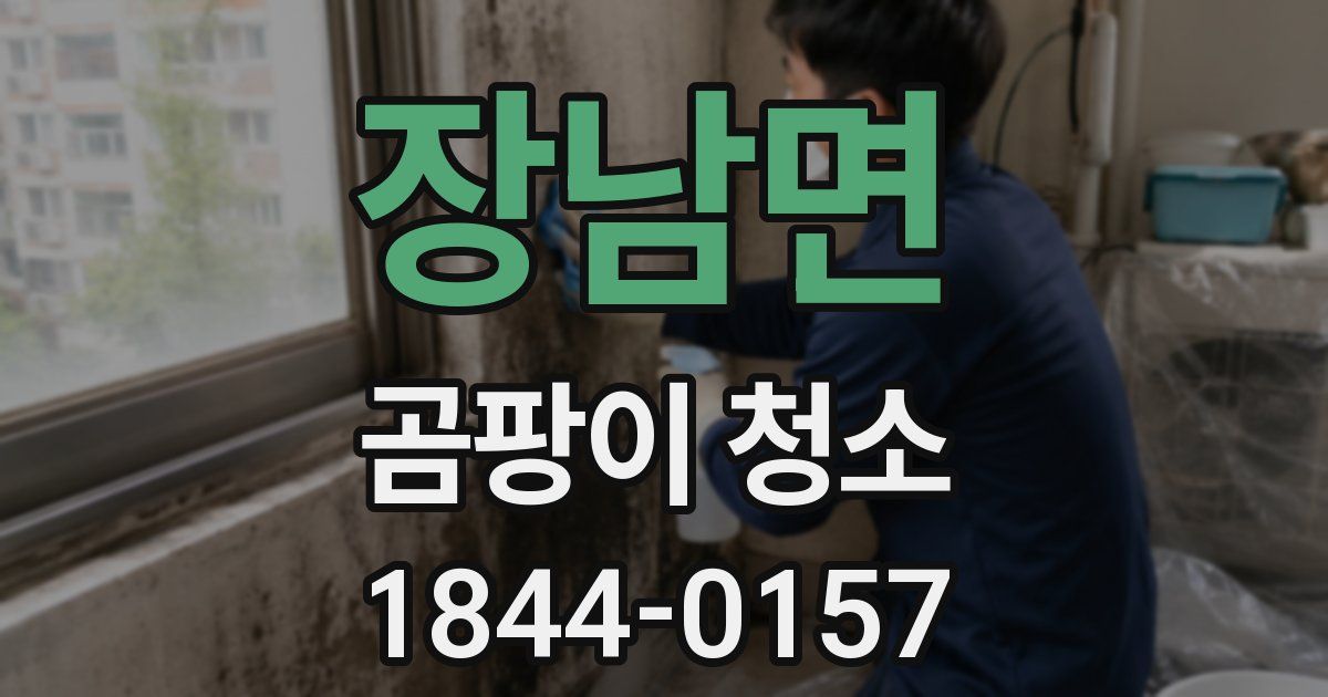 장남면 곰팡이 청소