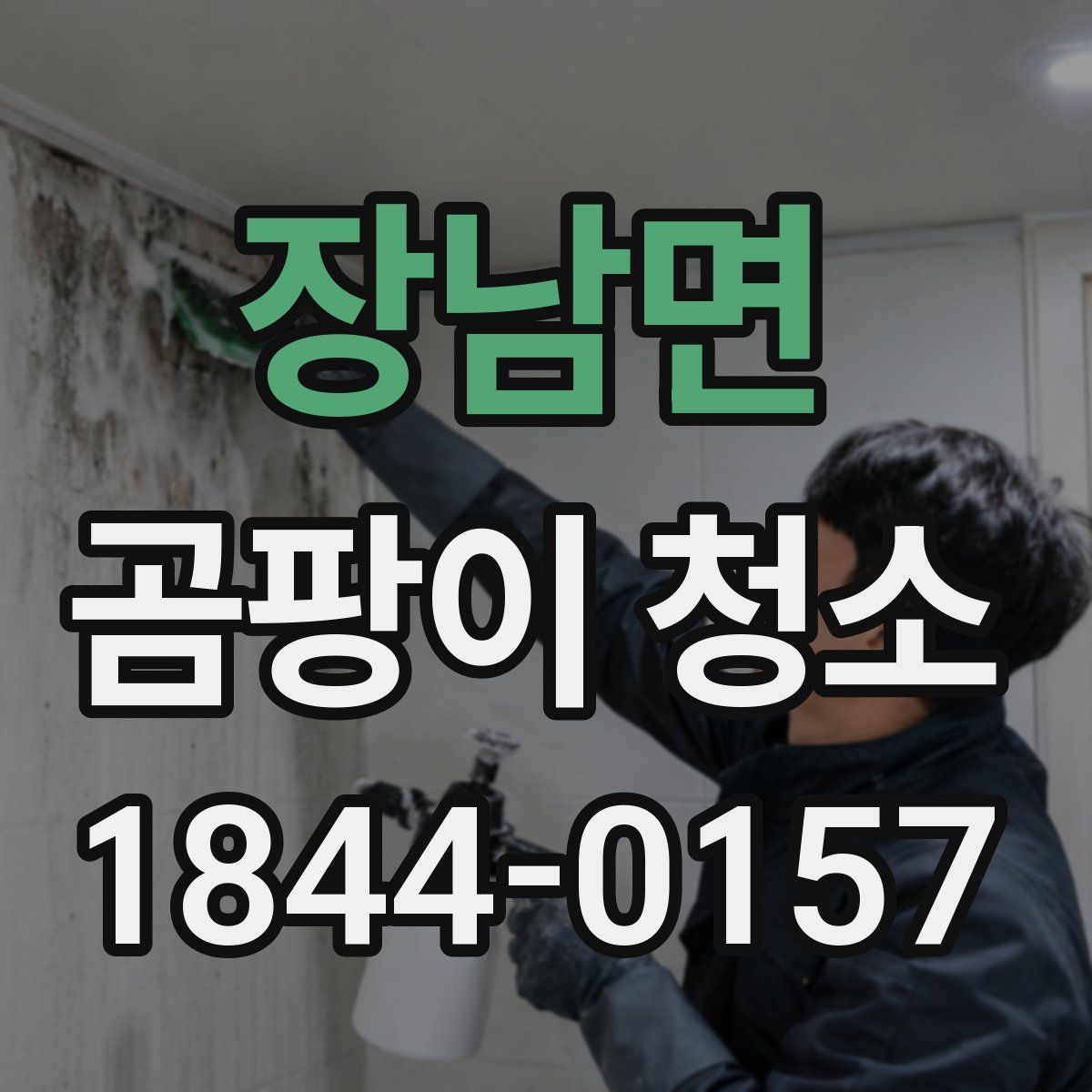 장남면 곰팡이 청소