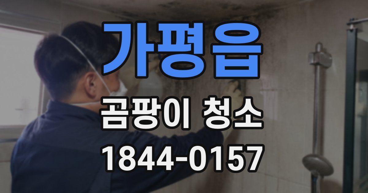 가평읍 곰팡이 청소
