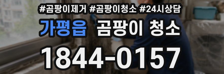 가평읍 곰팡이 청소