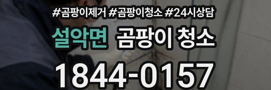 설악면 곰팡이 청소