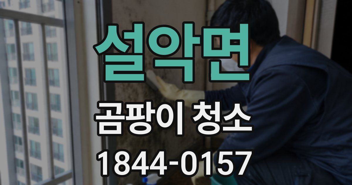설악면 곰팡이 청소